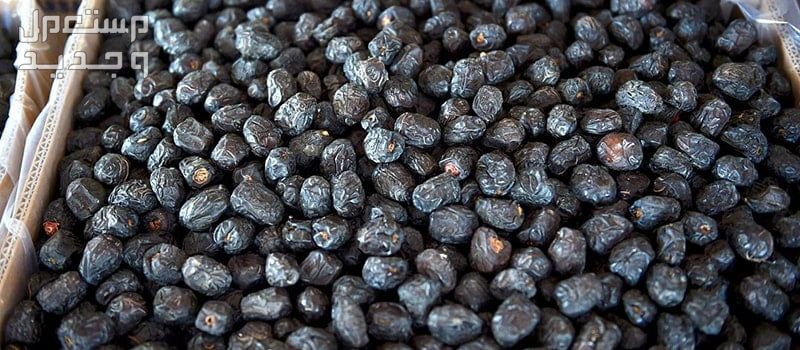 تعرف على أجود وأغلى أنواع التمور عجوة المدينة