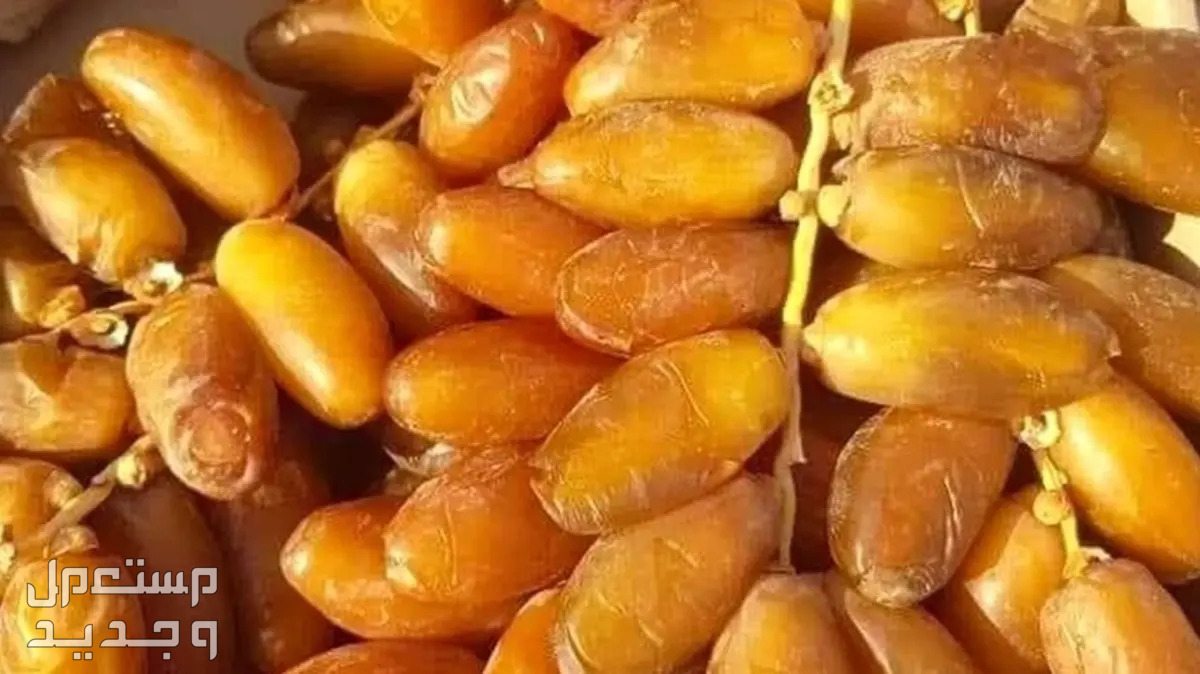 تعرف على أجود وأغلى أنواع التمور تمر أصفر