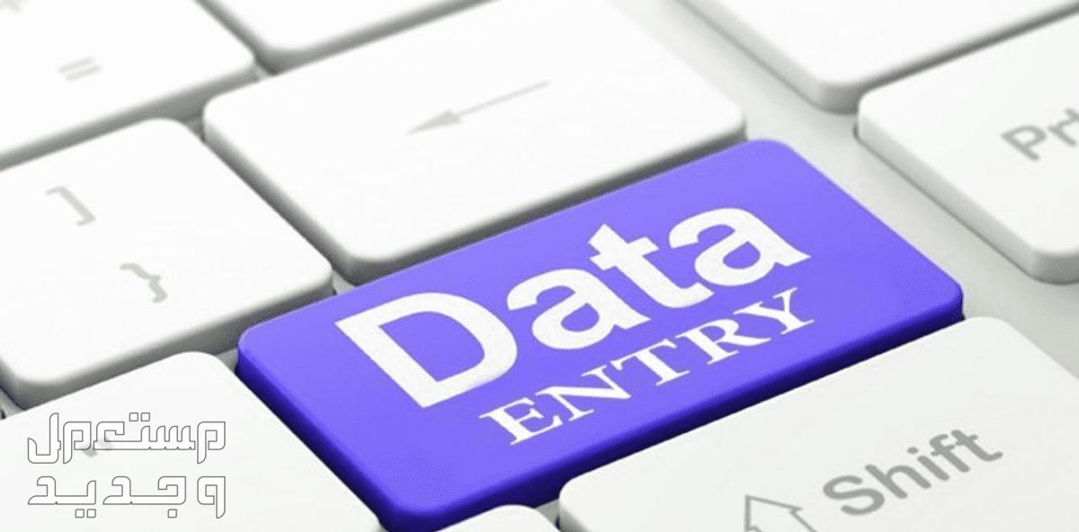 DATA ENTERY مدخل بيانات باللغتين العربيه والانجليزيه