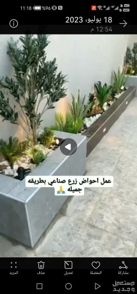 تصميم وتنسيق حدائق زهره المستقبل في جدة