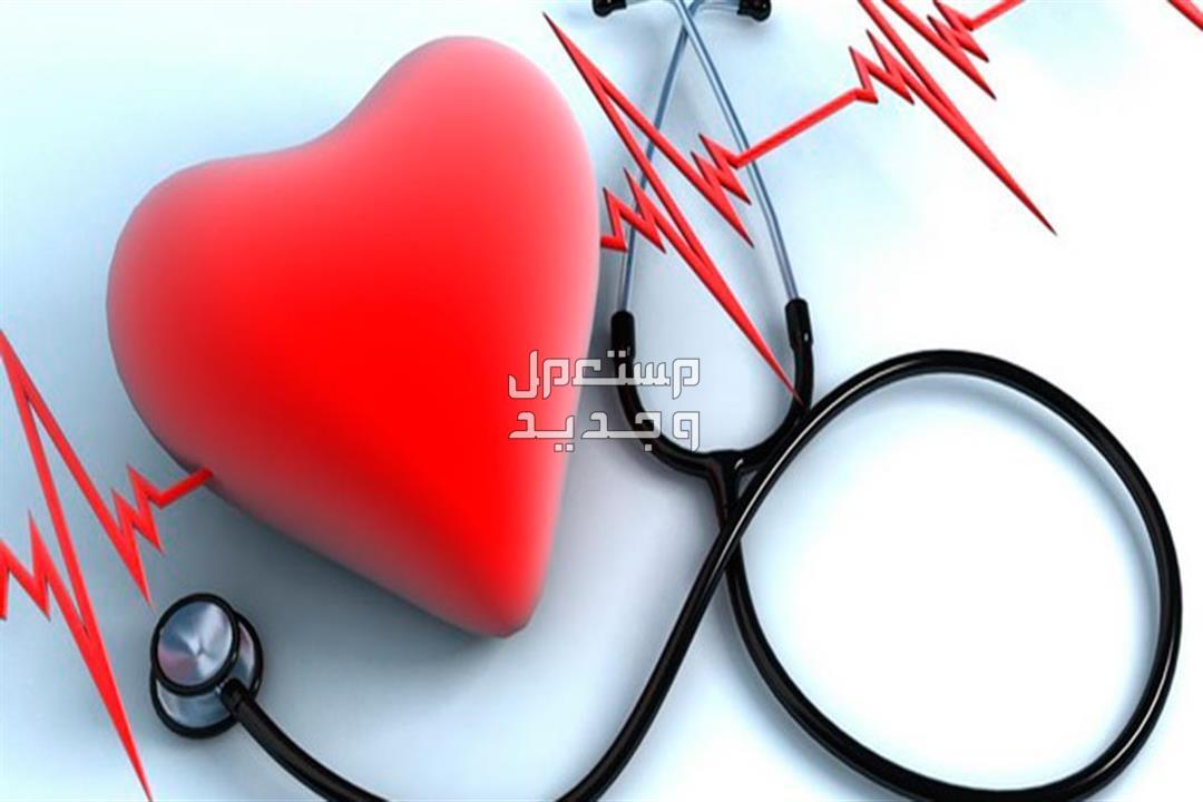 أبرز فعاليات اليوم العالمي للسعادة 2024 في الأردن صحة القلب