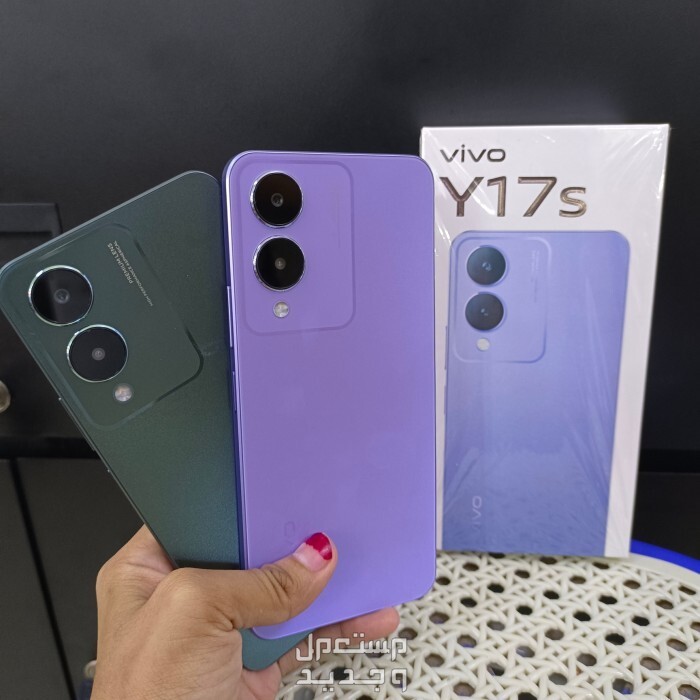 vivo-2024