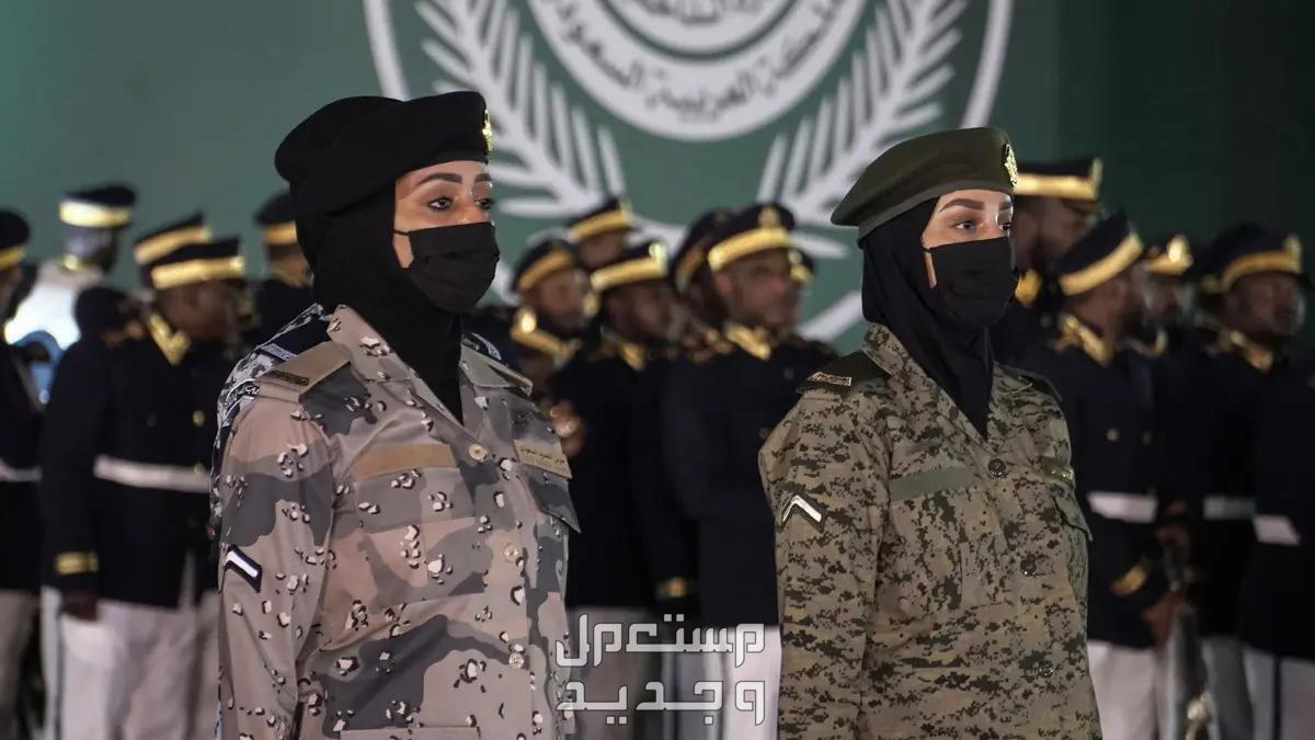 خطوات وشروط التقديم على وظائف وزارة الدفاع 1445 في الأردن سيدات في وزارة الدفاع السعودية
