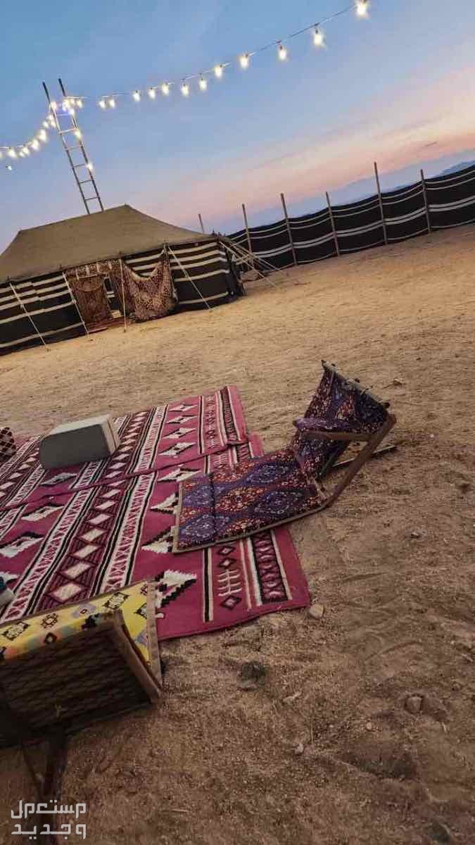 مخيم للإيجار في الغابة - المدينة المنورة بسعر 380 ريال سعودي