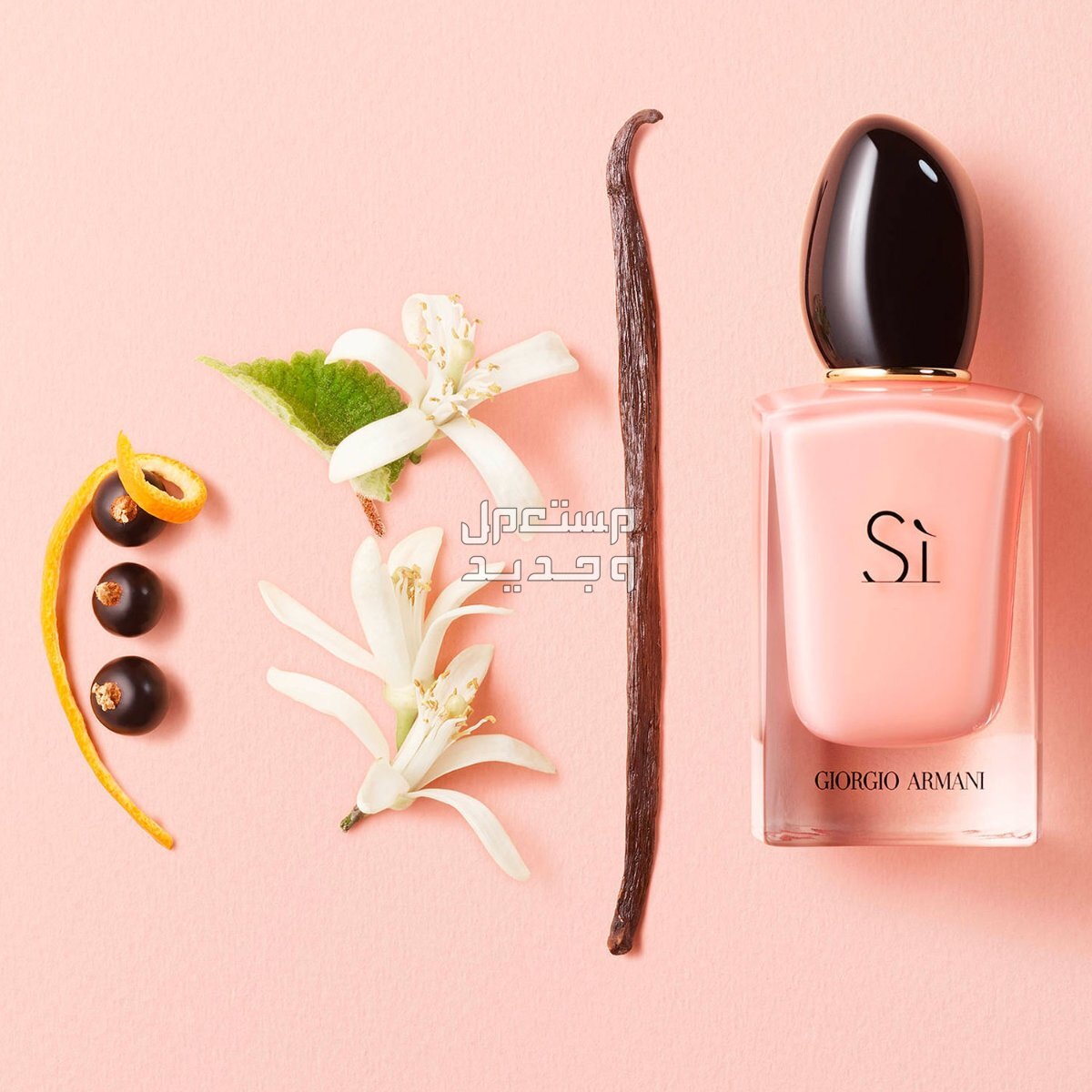 سعر برفان Si الأحمر الأصلي ومكوناته مكونات عطر سي الوردي