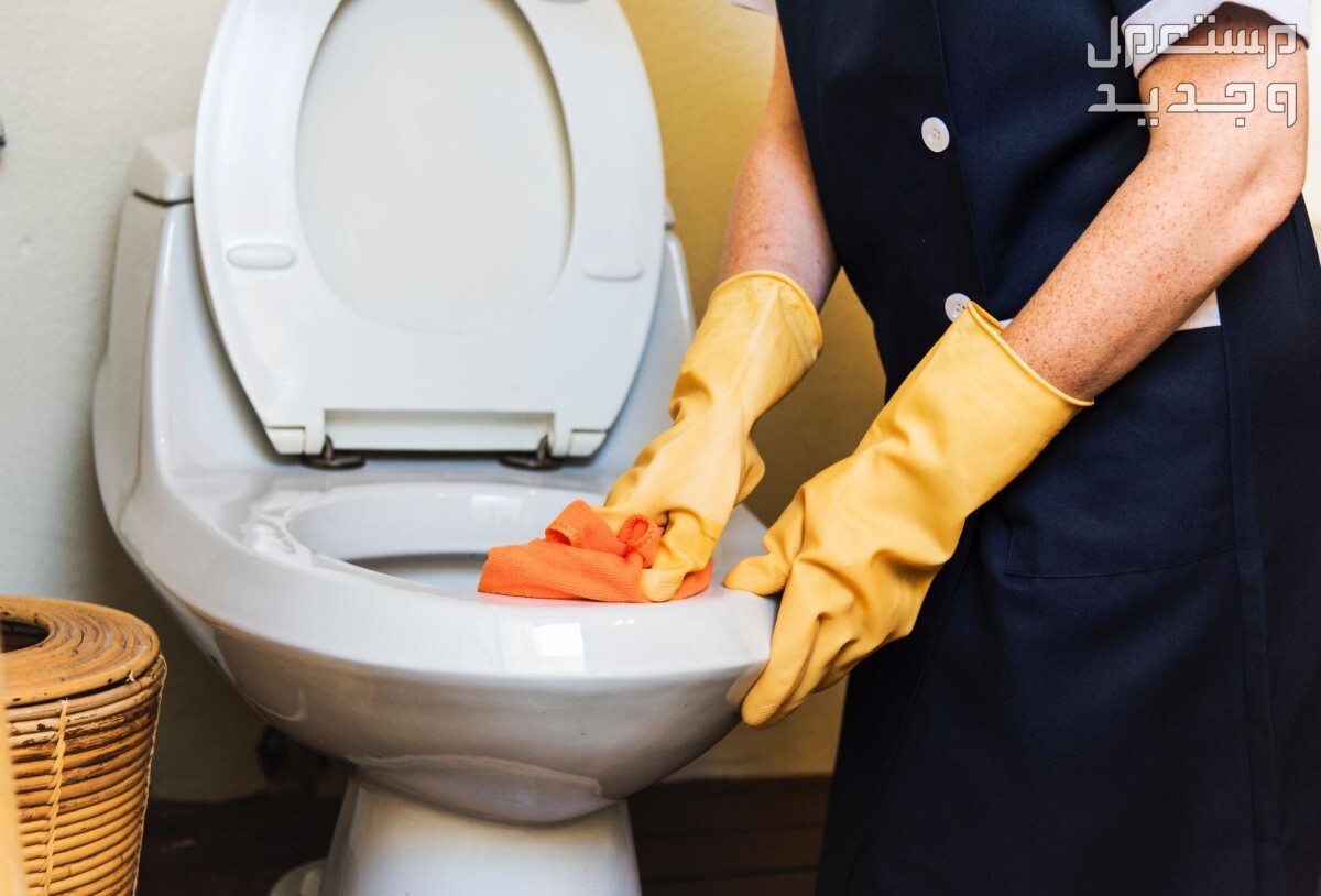 تعرفي على أفضل 10 طرق لتنظيف حمام المنزل في البحرين تنظيف المرحاض