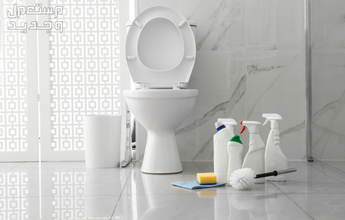 تعرفي على أفضل 10 طرق لتنظيف حمام المنزل في الأردن أفضل 10 طرق لتنظيف حمام المنزل