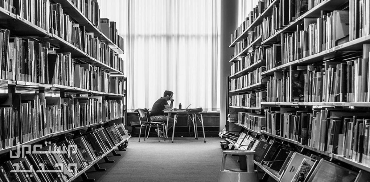 التدقيق اللغوي للرسائل العلمية والبحوث والمقالات الأدبية