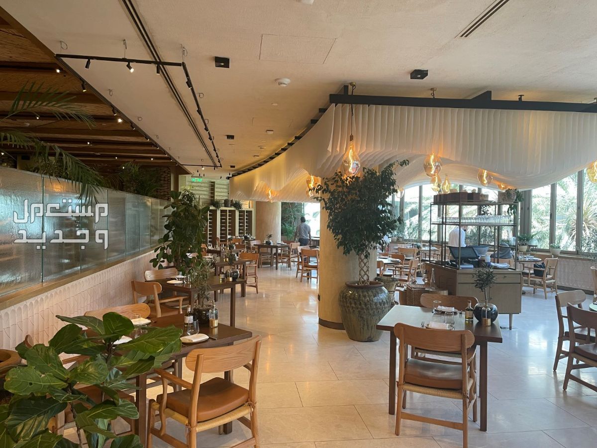 أفضل 5 مطاعم فطور رمضان 2024 في عمان مطعم ميراكي