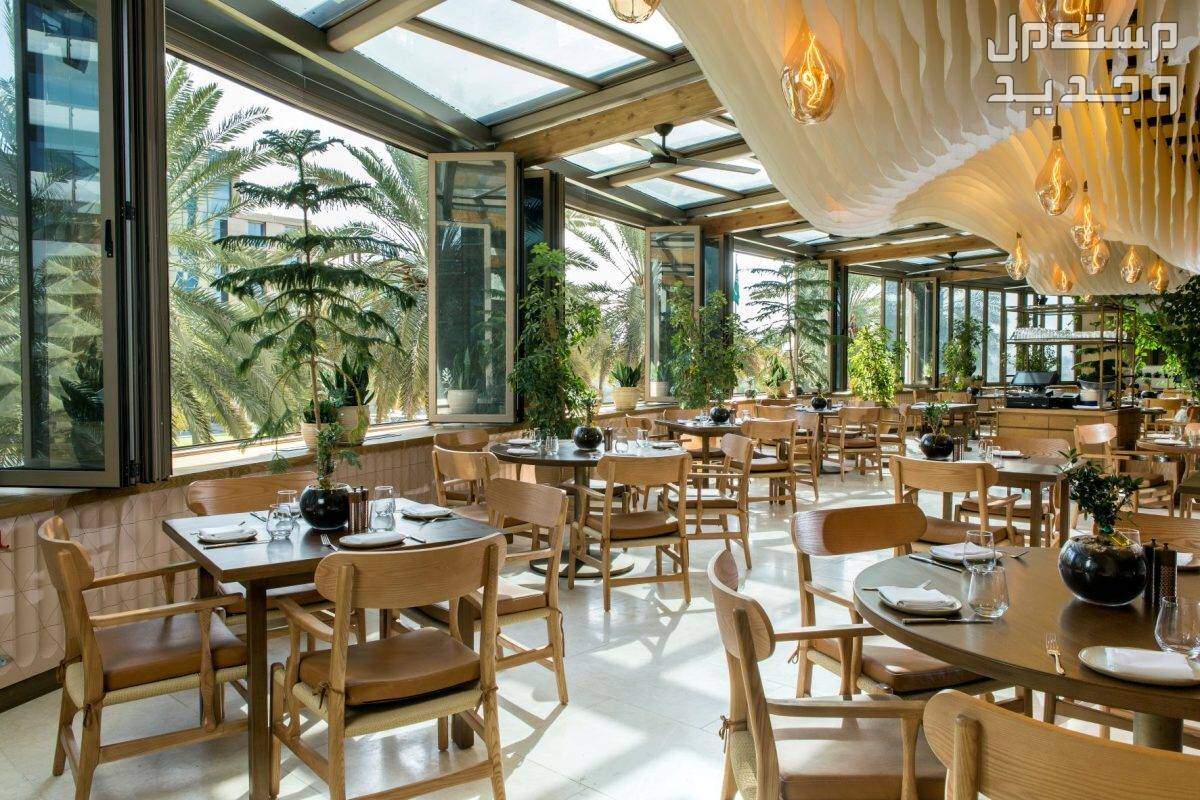أفضل 5 مطاعم فطور رمضان 2024 في السعودية مطعم ميراكي