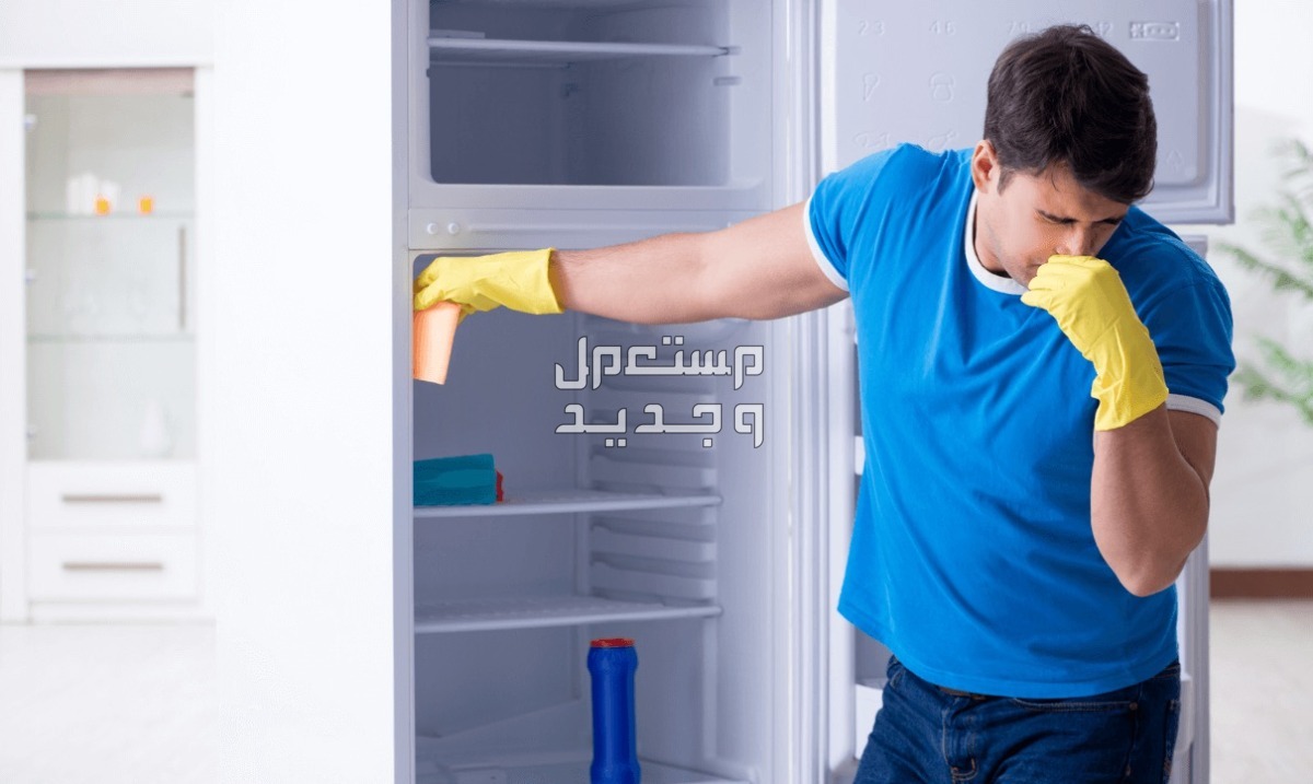 طريقة تنظيف الثلاجة من الداخل والخارج في رمضان 2024 الروائح الكريهة في الثلاجة