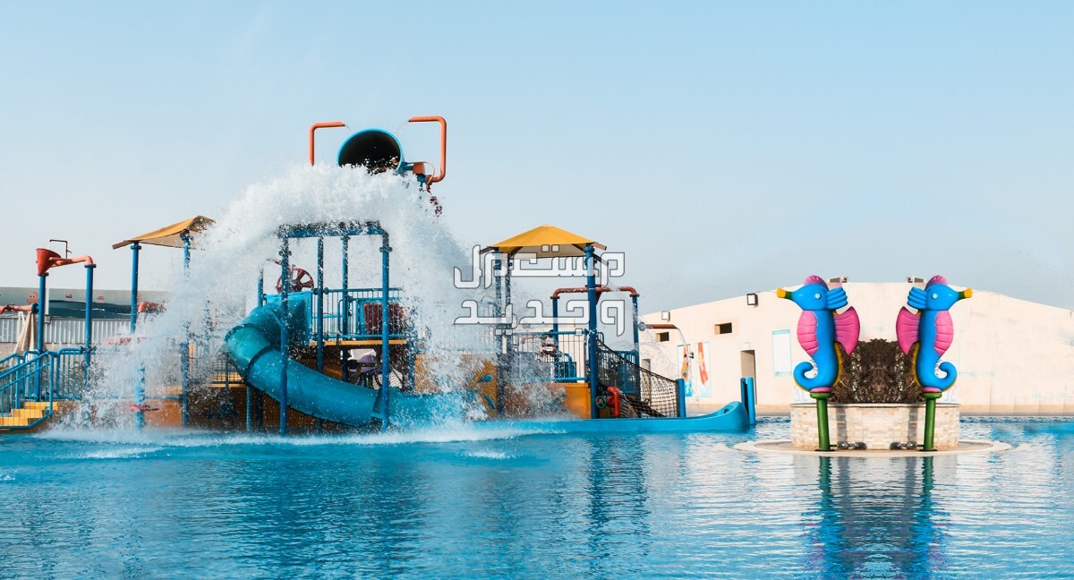 افضل العاب مائية في الرياض 2024 لتجربة ممتعة مختلفة في جيبوتي افضل العاب مائية في الرياض