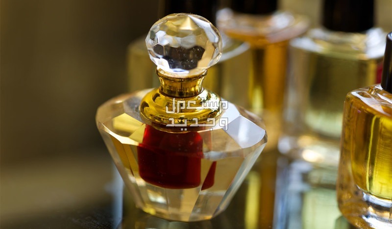 أفخم عطر عود رجالي والأسعار عطر رجالي عود