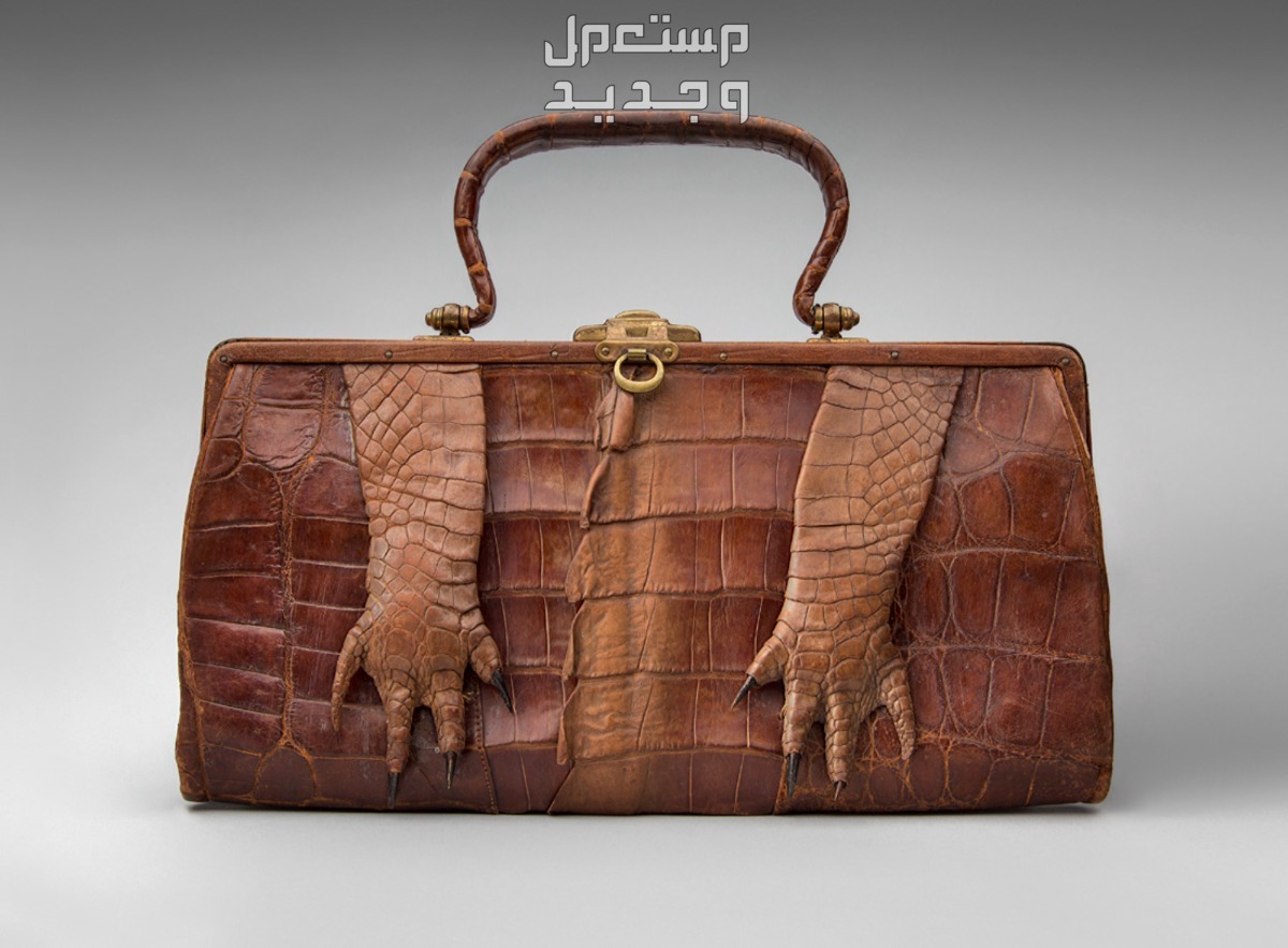 تفسير رؤية شراء حقيبة يد للعزباء والمتزوجة في الأردن تفسير رؤية شراء حقيبة يد للعزباء والمتزوجة
