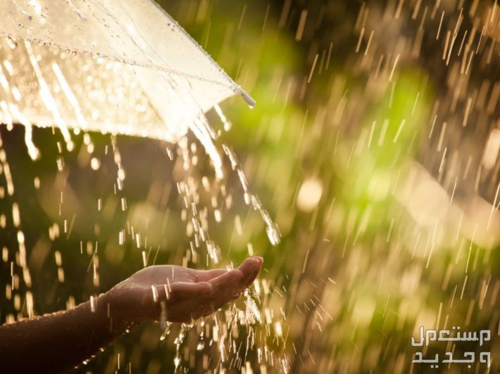 دعاء المطر في رمضان لقضاء الحاجة وسعة الرزق في السعودية نزول المطر