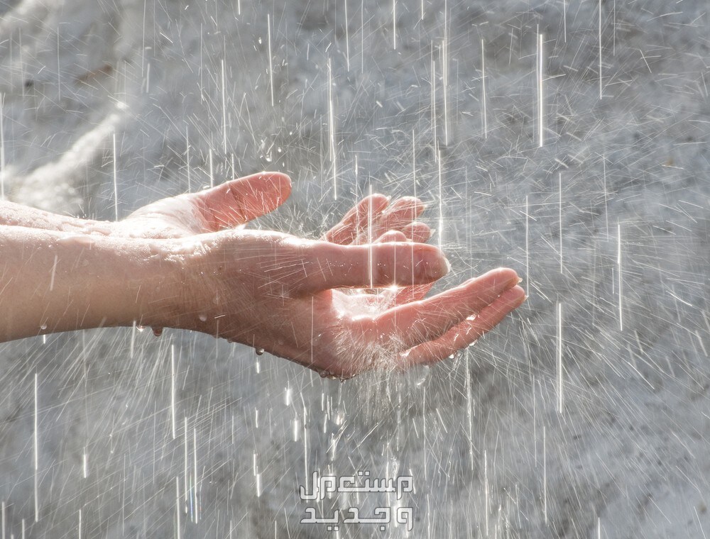 دعاء المطر في رمضان لقضاء الحاجة وسعة الرزق رجل يدعو الله وقت نزول المطر