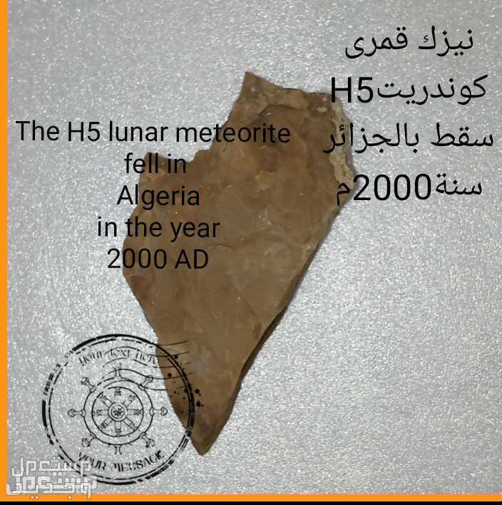 The H5 lunar meteorite  fell in  Algeria  in the year  2000 AD The H5 lunar meteorite  fell in  Algeria  in the year  2000 AD