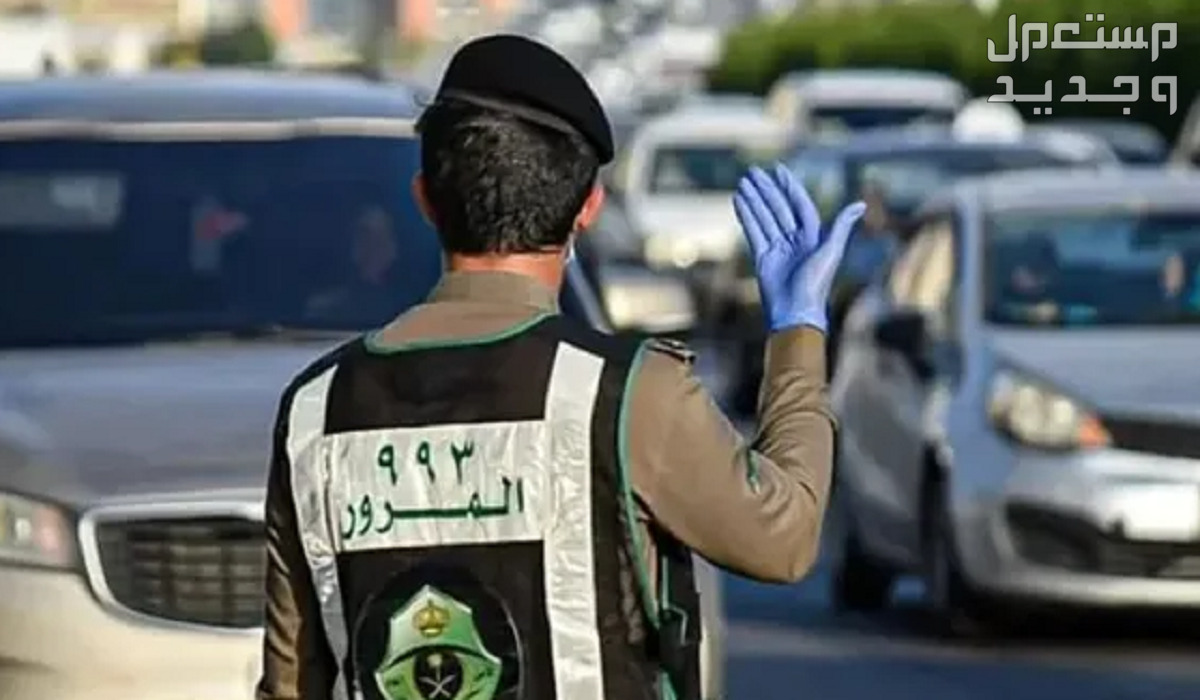 رسوم تجديد رخصة القيادة بعد التعديل وخطوات التجديد 1445 في السعودية طريقة تسديد رسوم تجديد رخصة القيادة