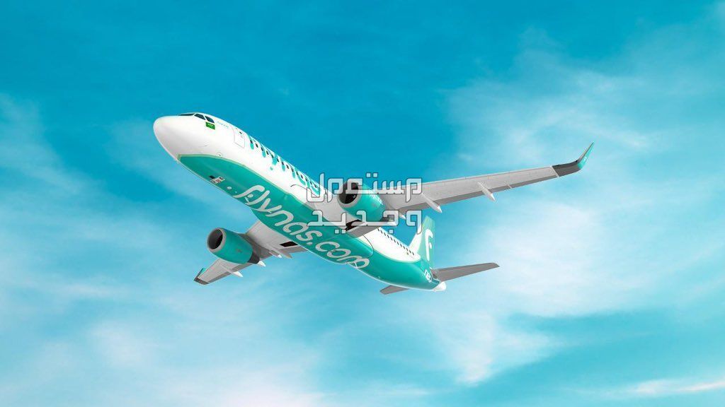 شروط التقديم على وظائف طيران ناس 1445 في جيبوتي طائرة شركة طيران ناس