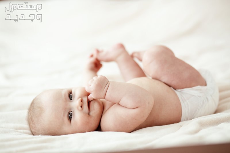 ﻿﻿عبارات تهنئة للمولود الجديد ذكر أو انثى طفل حديث الولادة