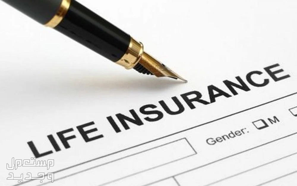 انواع شركات التأمين بالتفصيل 2024 في البحرين انواع شركات التأمين 2024