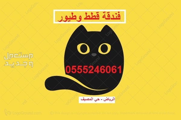 فندفة طيور وقطط 61 60 24 0555 الرياض