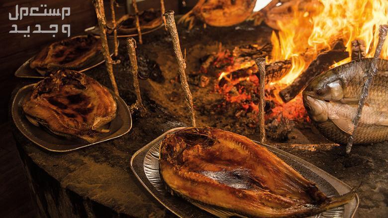 تعرف على أشهر 10 أطباق شعبية شهية من حول العالم في مصر المسقوف