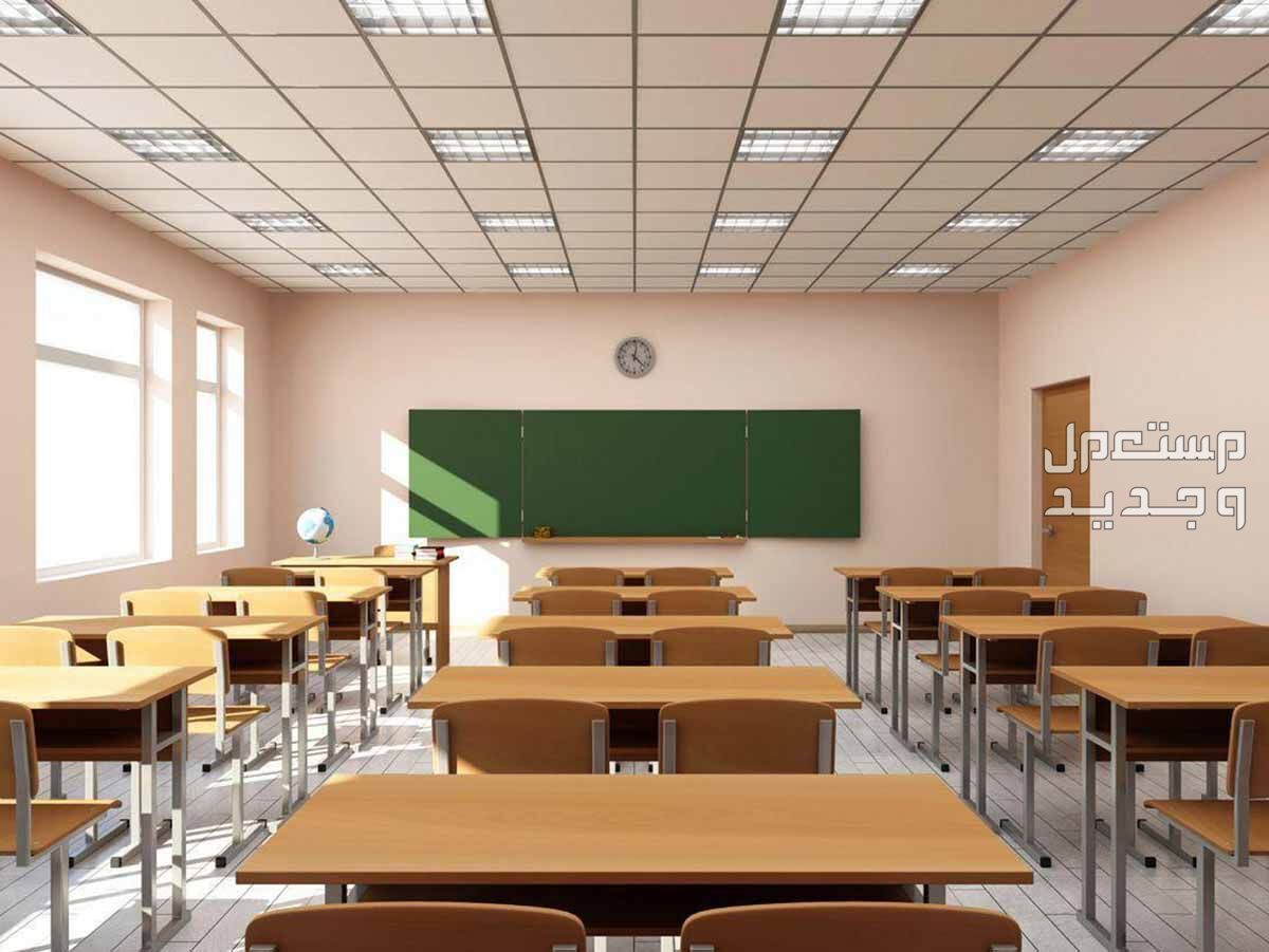 خطوات ورابط تسجيل طلاب الصف الأول الابتدائي 1446 في قطر خطوات تسجيل طلاب الصف الأول الابتدائي 1446