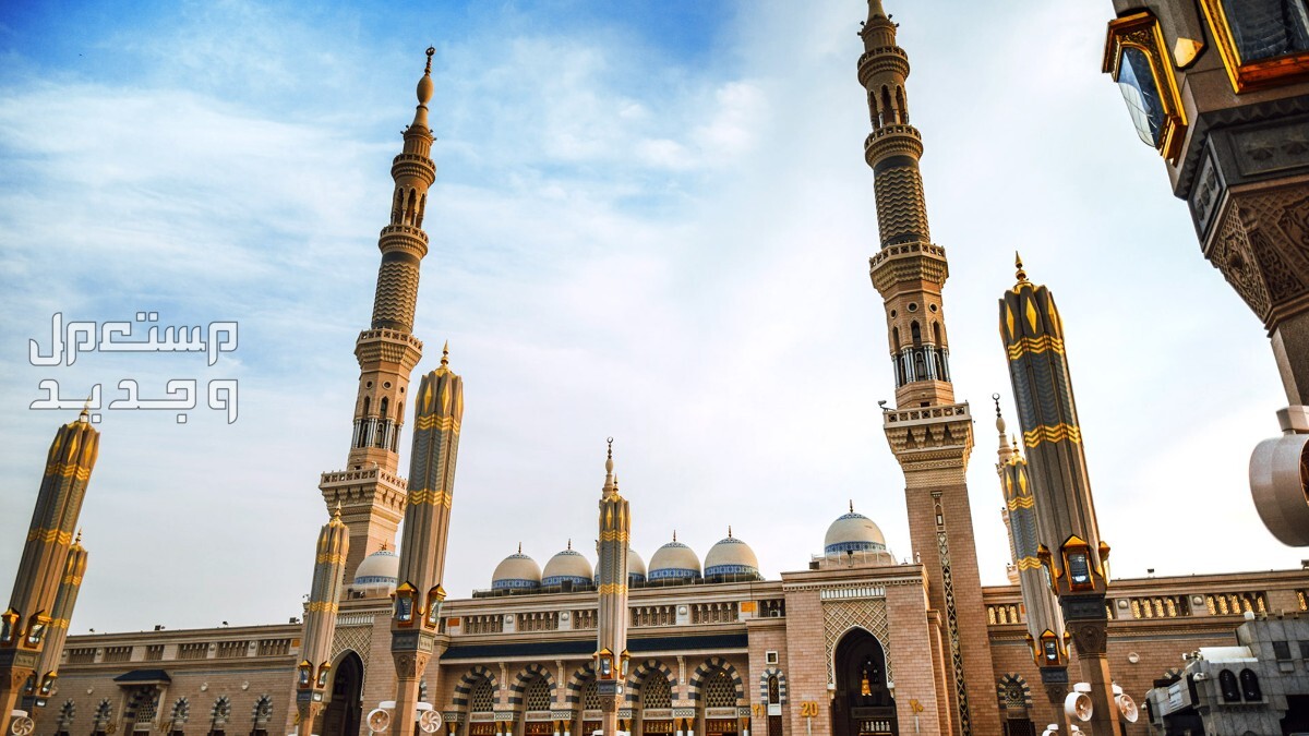 كيفية التقديم في وظائف الشؤون الإسلامية والشروط المطلوبة في الإمارات العربية المتحدة كيفية التقديم في وظائف الشؤون الإسلامية والشروط المطلوبة