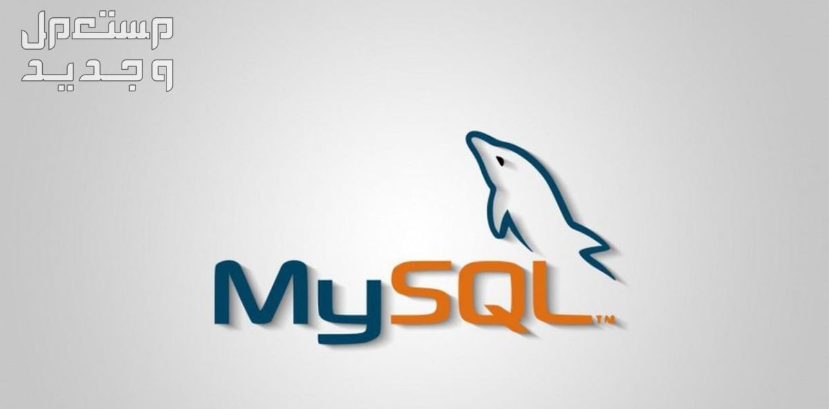 إنشاء قاعده بيانات باستخدام MySQL