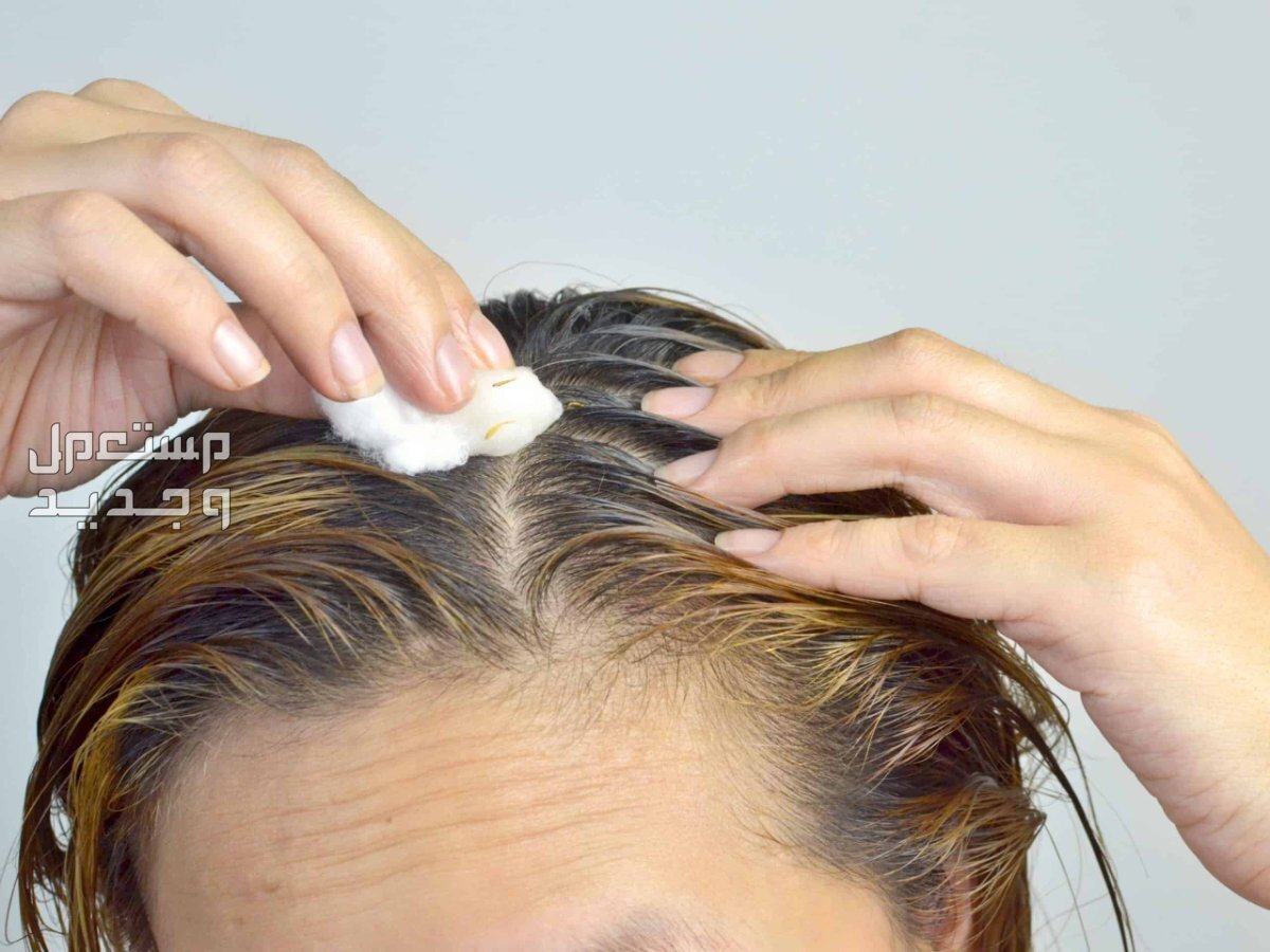 تعرف على كيفية استخدام زيت الزيتون للشعر توزيع زيت الزيتون على فروة الشعر باستخدام قطنة