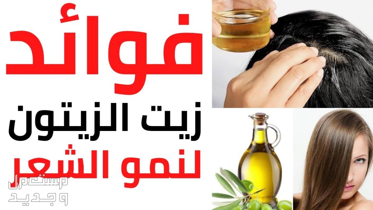 تعرف على كيفية استخدام زيت الزيتون للشعر زيت الزيتون لنمو الشعر