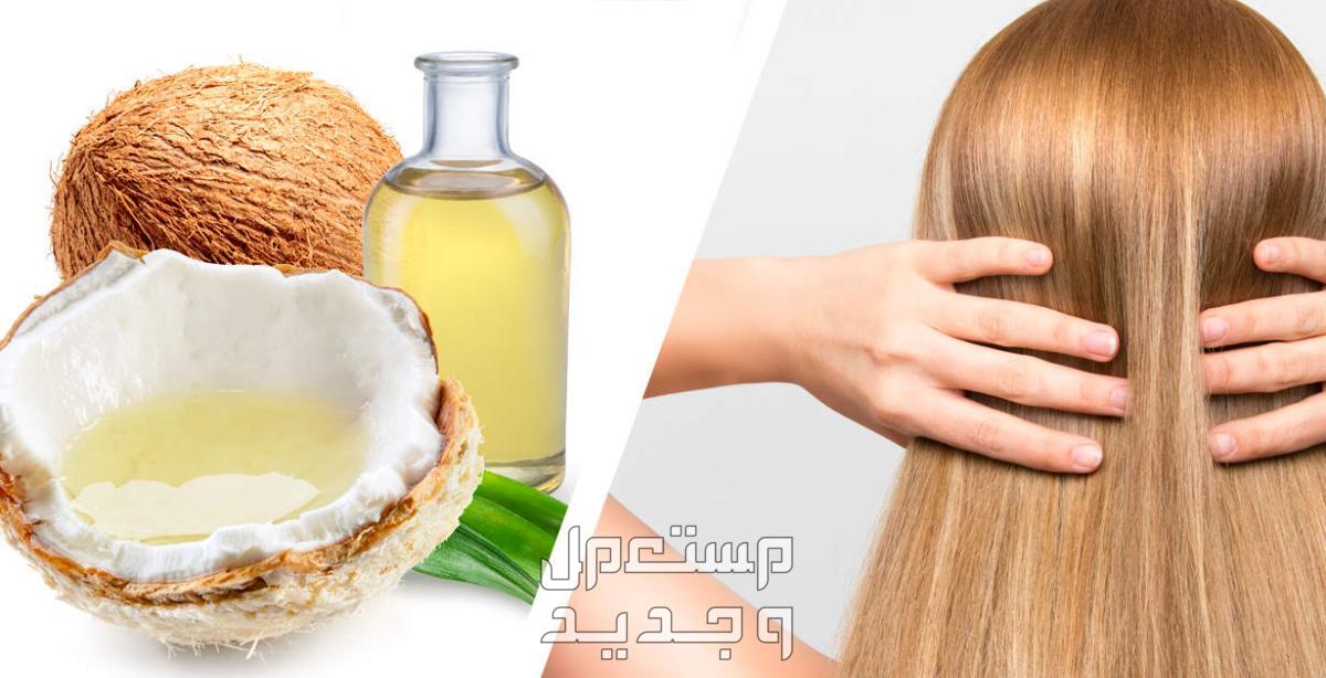 تعرف على كيفية استخدام زيت الزيتون للشعر وصفة زيت جوز الهند مع زيت الزيتون
