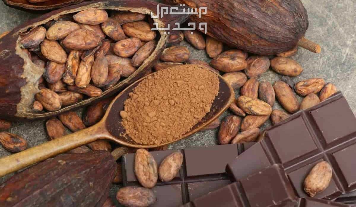 أفضل أنواع الكاكاو الخام بعد ارتفاع أسعاره في الأردن حبوب كاكاو داكن