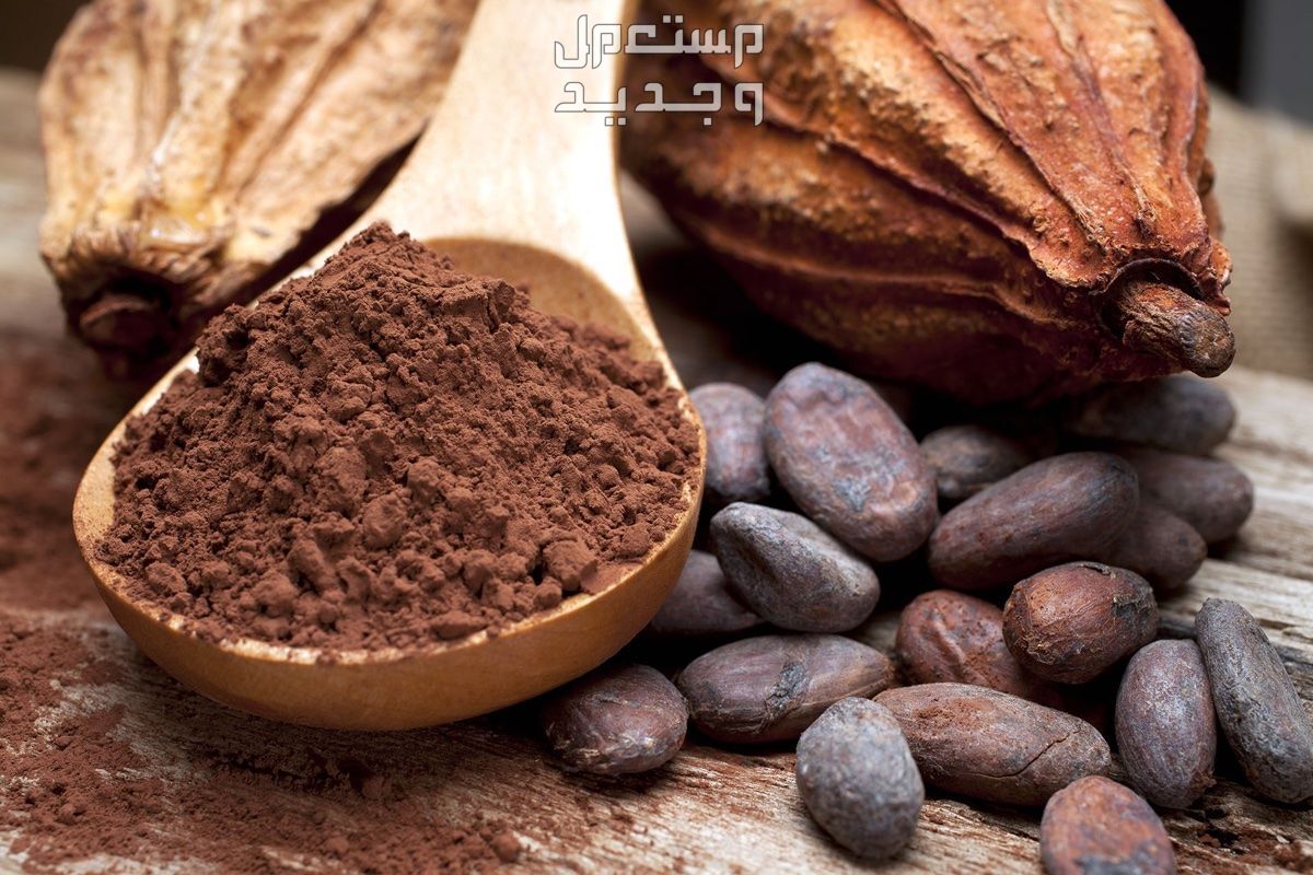 أفضل أنواع الكاكاو الخام بعد ارتفاع أسعاره في الأردن الكاكاو العضوي