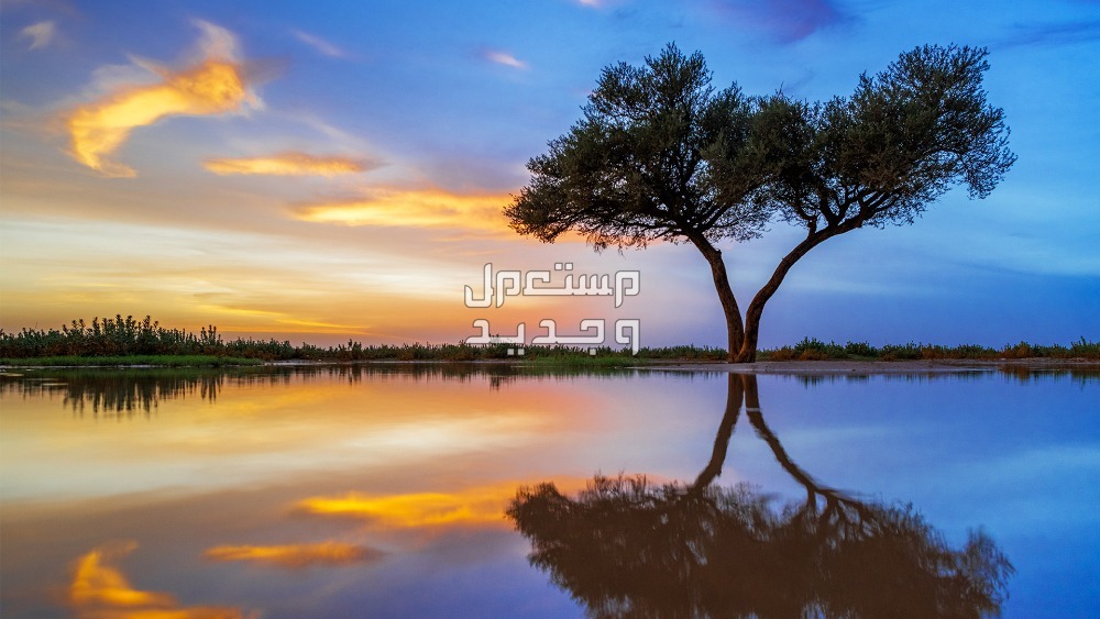 أماكن حلوة في الرياض للعوائل.. أفضل 10 وجهات لقضاء الإجازات روضة "التنهات"
