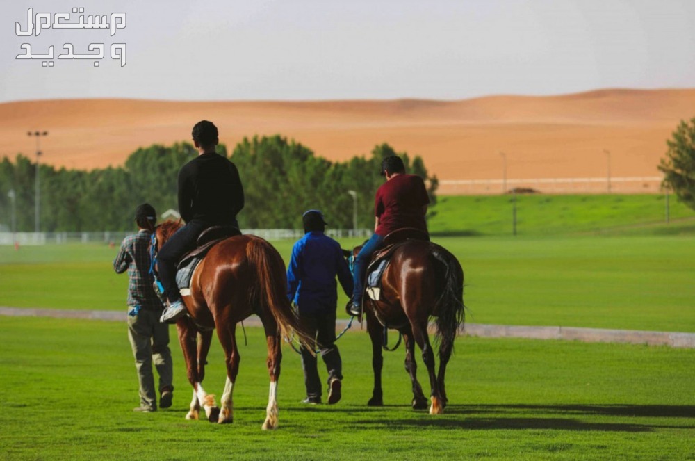 أفضل 10 أماكن حلوة بالرياض للعوائل.. لقضاء إجازة عيد الفطر في البحرين رحلة سفاري بالخيول في حديقة نوفا للحياة البرية