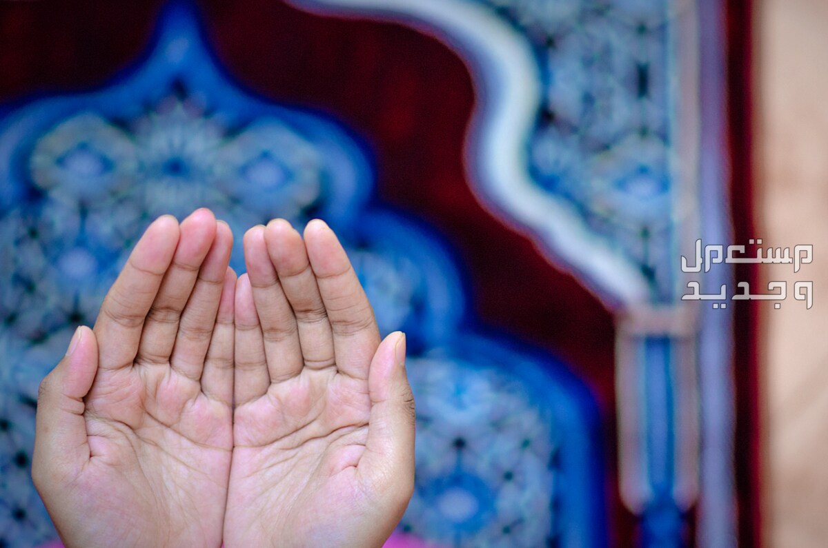 أفضل دعاء في العشر الأواخر من رمضان 2024 في الإمارات العربية المتحدة يد مرفوعة للدعاء في المسجد