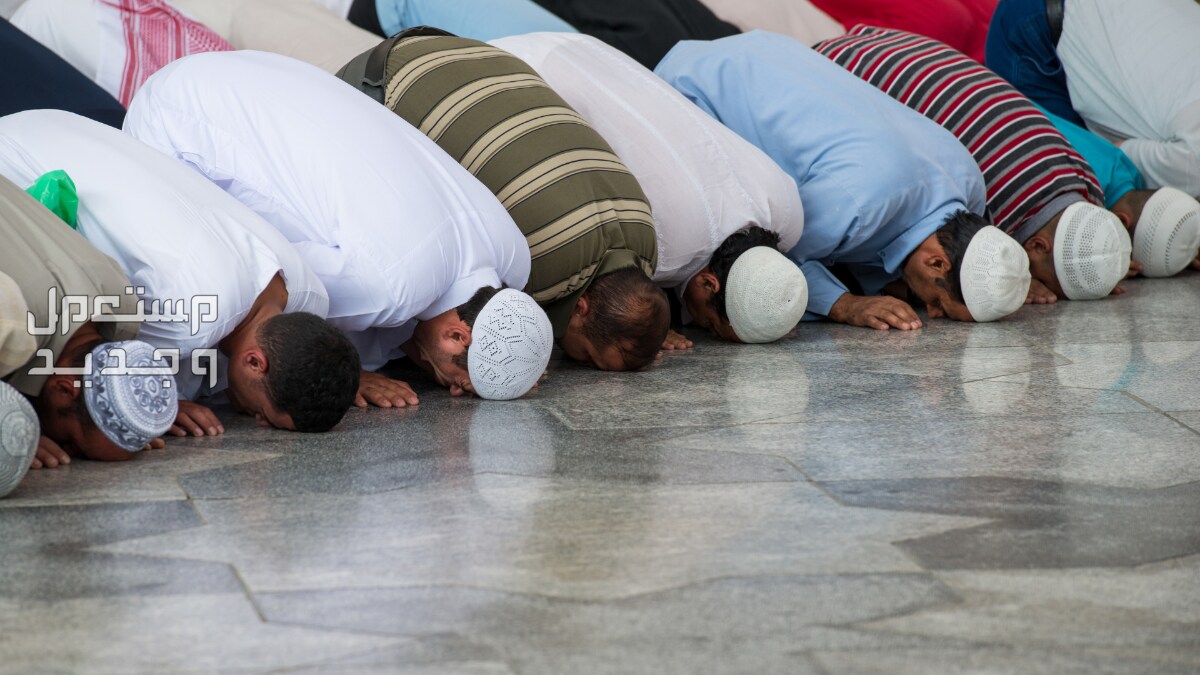 ماذا تفعل في ليلة القدر؟.. تعرف على أفضل الأعمال وكيفية إحيائها في الجزائر رجال يسجدون في الصلاة بالمسجد