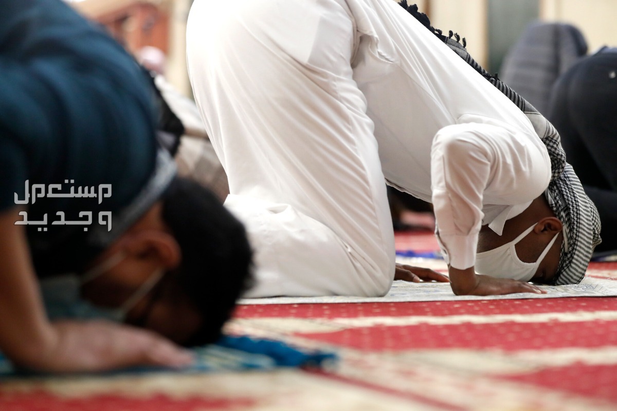 ماذا تفعل في ليلة القدر؟.. تعرف على أفضل الأعمال وكيفية إحيائها في البحرين رجال يسجدون في الصلاة