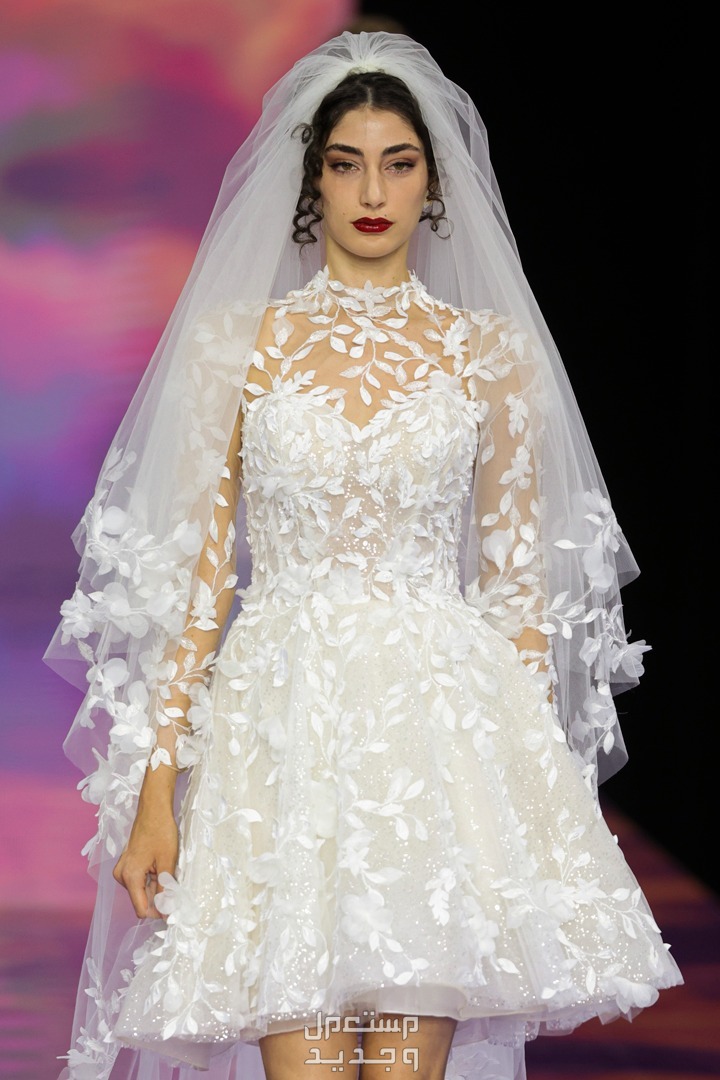 صور موديلات فساتين مطرزة فخمة زفاف 2024 في البحرين فستان قصير