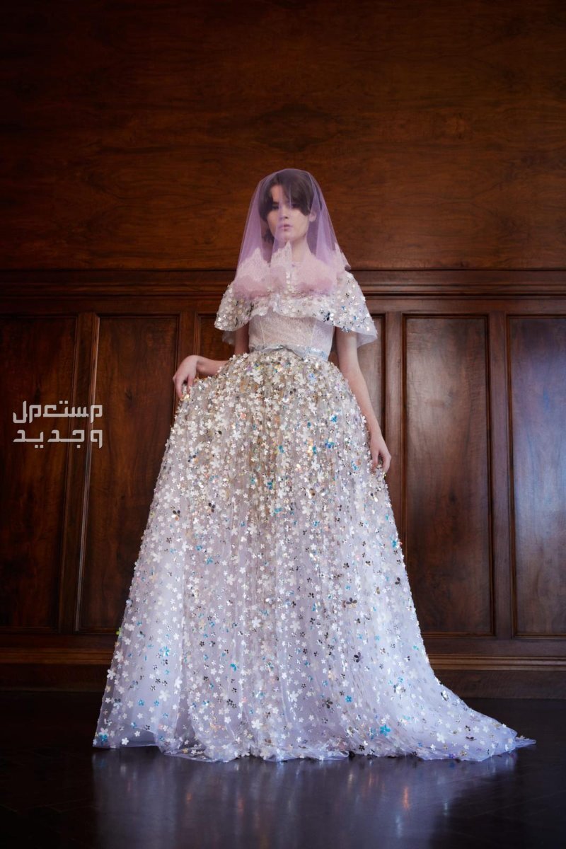 صور موديلات فساتين مطرزة فخمة زفاف 2024 في البحرين فستان لامع