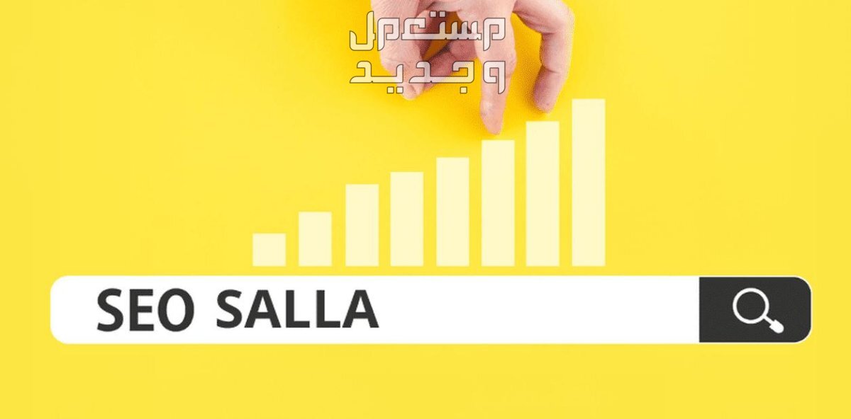 تحسين محركات البحث سلة seo الرئيسية المنتجات والمدونة salla