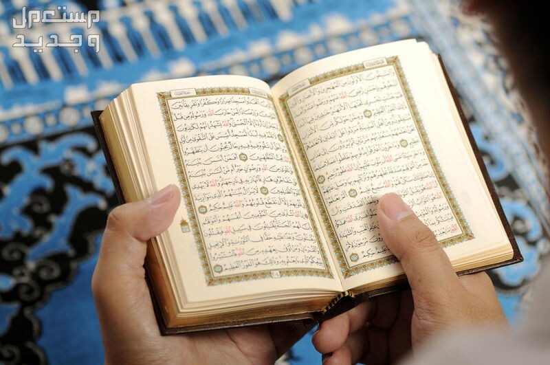 الأعمال المستحبة في ليلة القدر 1445 في السعودية مسلم يقرأ القران