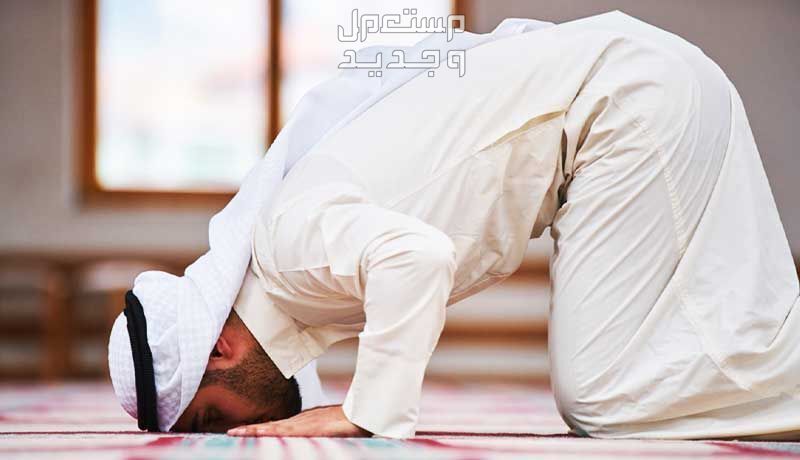 دعاء ليلة القدر للرزق وقضاء الحوائج 1445 في الإمارات العربية المتحدة رجل يصلي