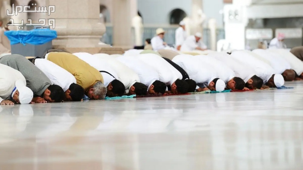عدد ركعات صلاة التهجد ووقتها 1445 في قطر صلاة الجماعة