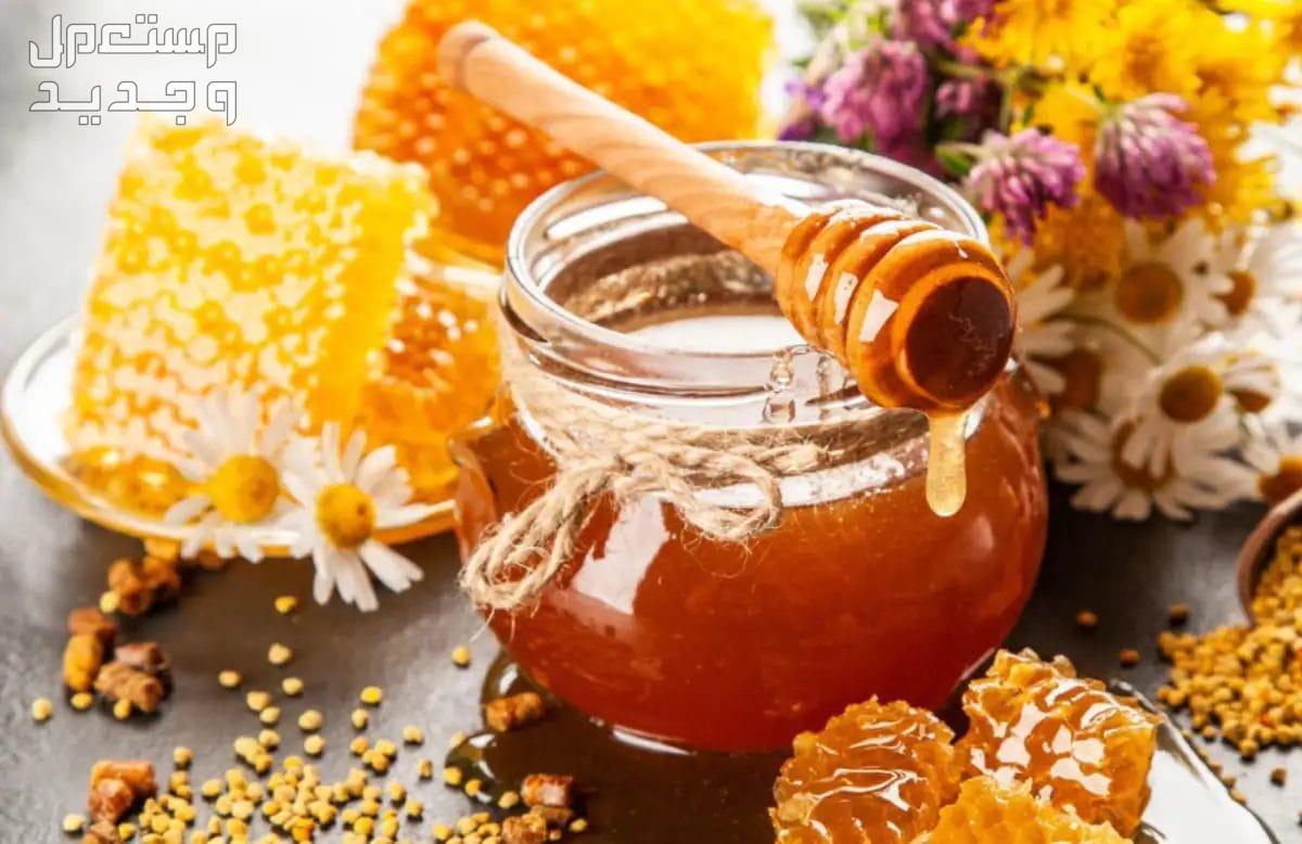 كيف تعرف جودة العسل الأصلي من التقليد 2024 تعرف على التفاصيل في الأردن عسل النحل الاصلي