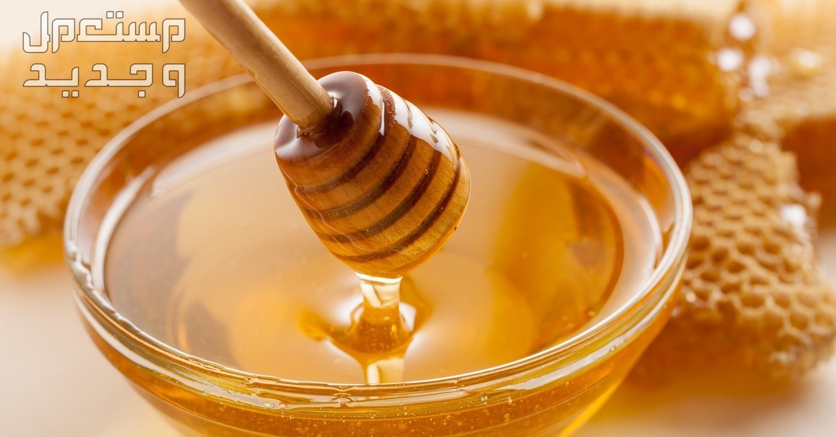 كيف تعرف جودة العسل الأصلي من التقليد 2024 تعرف على التفاصيل في الأردن شكل عسل النحل