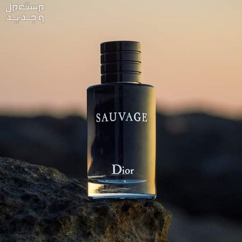 سعر عطر سوفاج الأصلي بالريال في الإمارات العربية المتحدة زجاجة عطر سوفاج