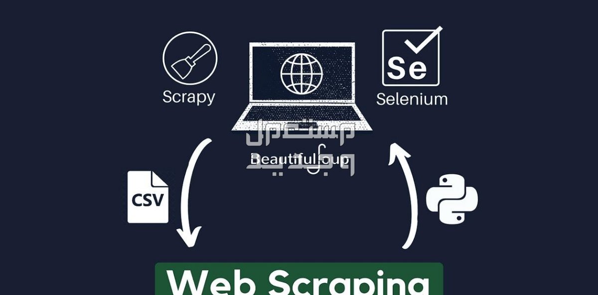 جمع وإستخراج البيانات من الإنترنت آلياً Web Scraping